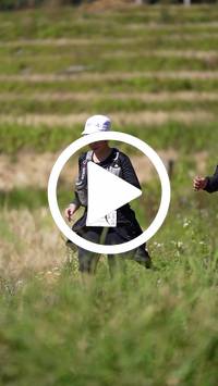 BIB:  <button type="button" onclick="openModal(26787502)" class="btn btn-primary btn-sm float-right" data-toggle="modal" data-target=".modal-high-quality">
                <i class="fa fa-download"></i> Download
                </button>